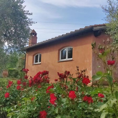 La Casa Delle Rose Villa Terranuova Bracciolini Ngoại thất bức ảnh