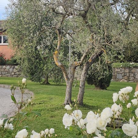 La Casa Delle Rose Villa Terranuova Bracciolini Ngoại thất bức ảnh