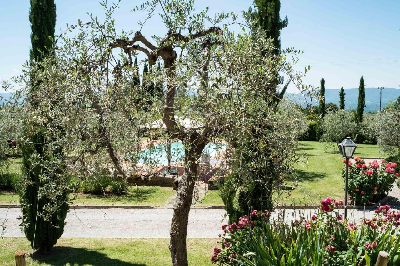 La Casa Delle Rose Villa Terranuova Bracciolini Ngoại thất bức ảnh