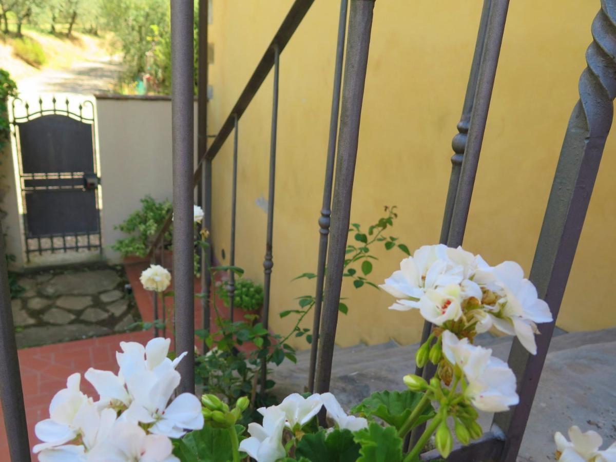 La Casa Delle Rose Villa Terranuova Bracciolini Ngoại thất bức ảnh