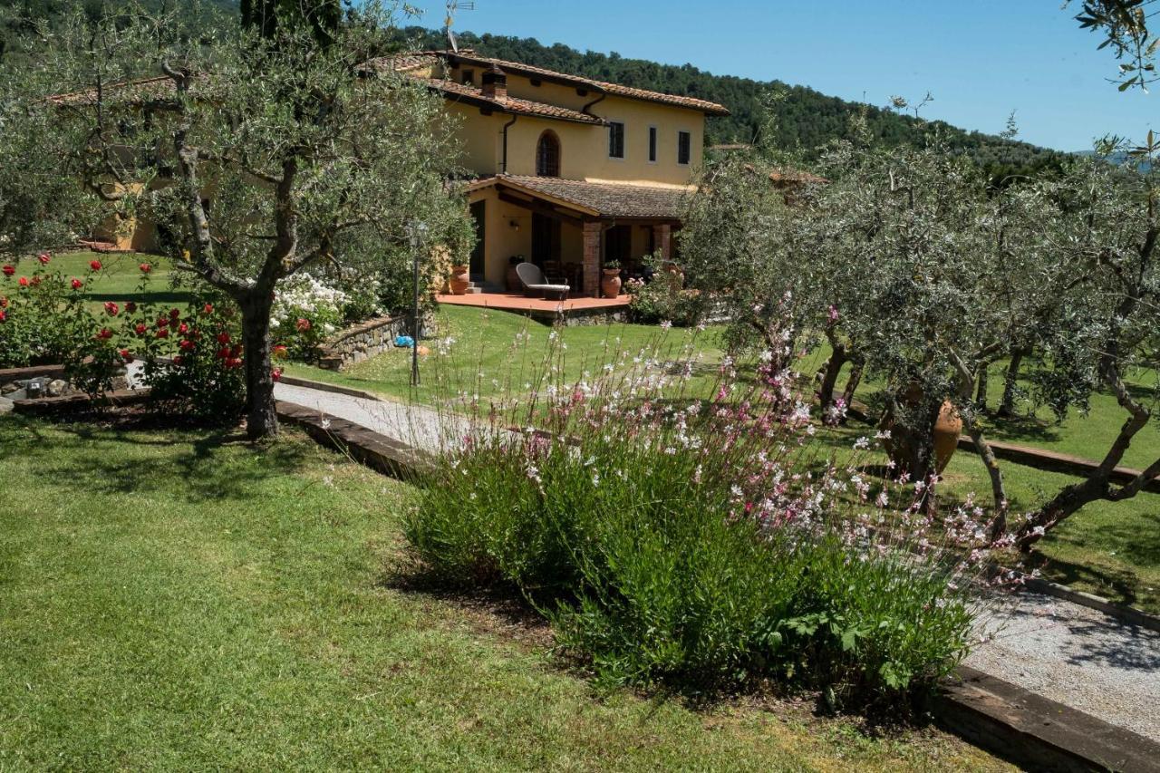 La Casa Delle Rose Villa Terranuova Bracciolini Ngoại thất bức ảnh