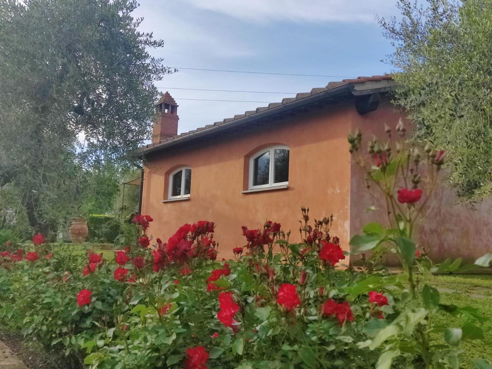 La Casa Delle Rose Villa Terranuova Bracciolini Ngoại thất bức ảnh