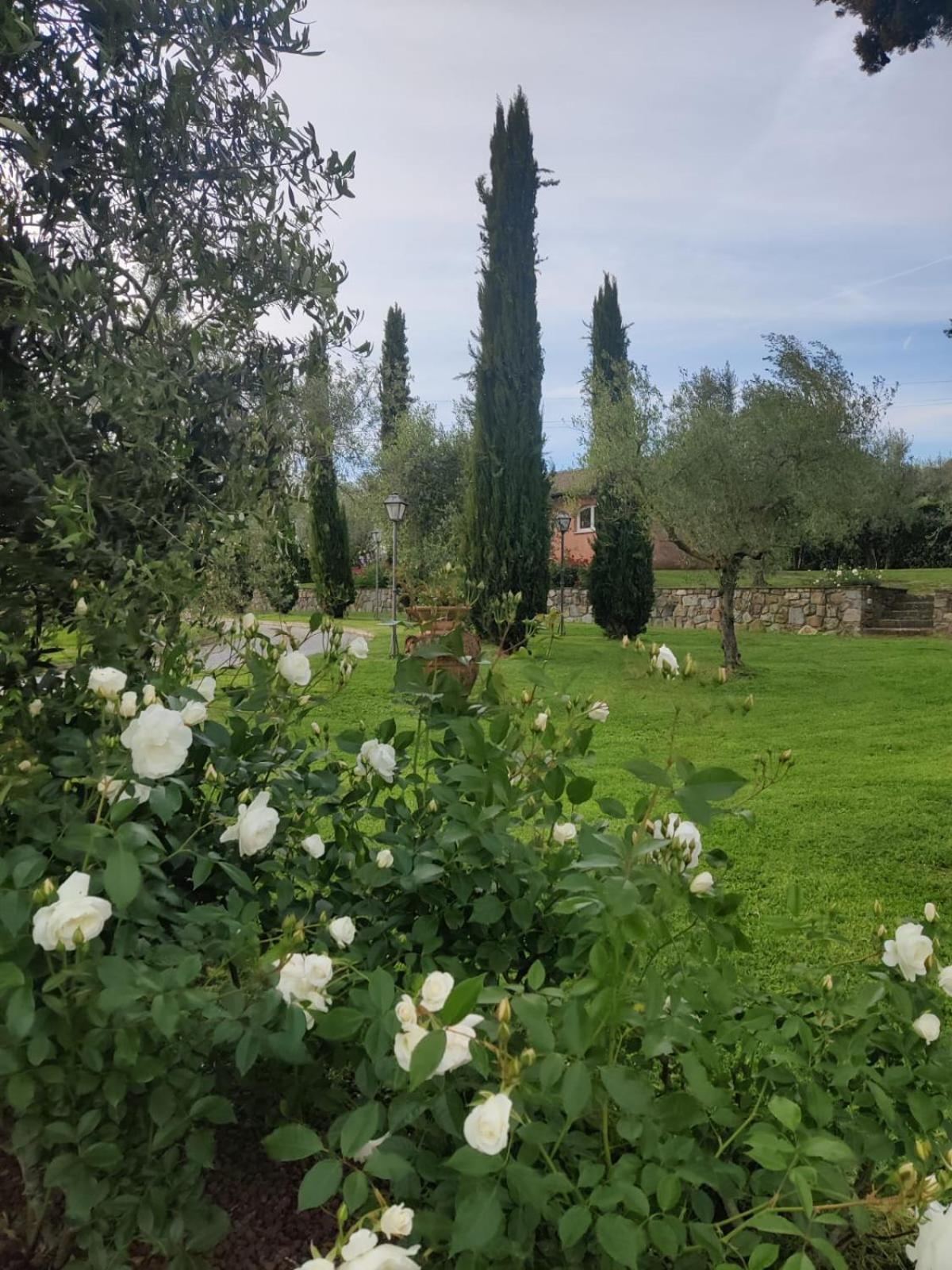 La Casa Delle Rose Villa Terranuova Bracciolini Ngoại thất bức ảnh