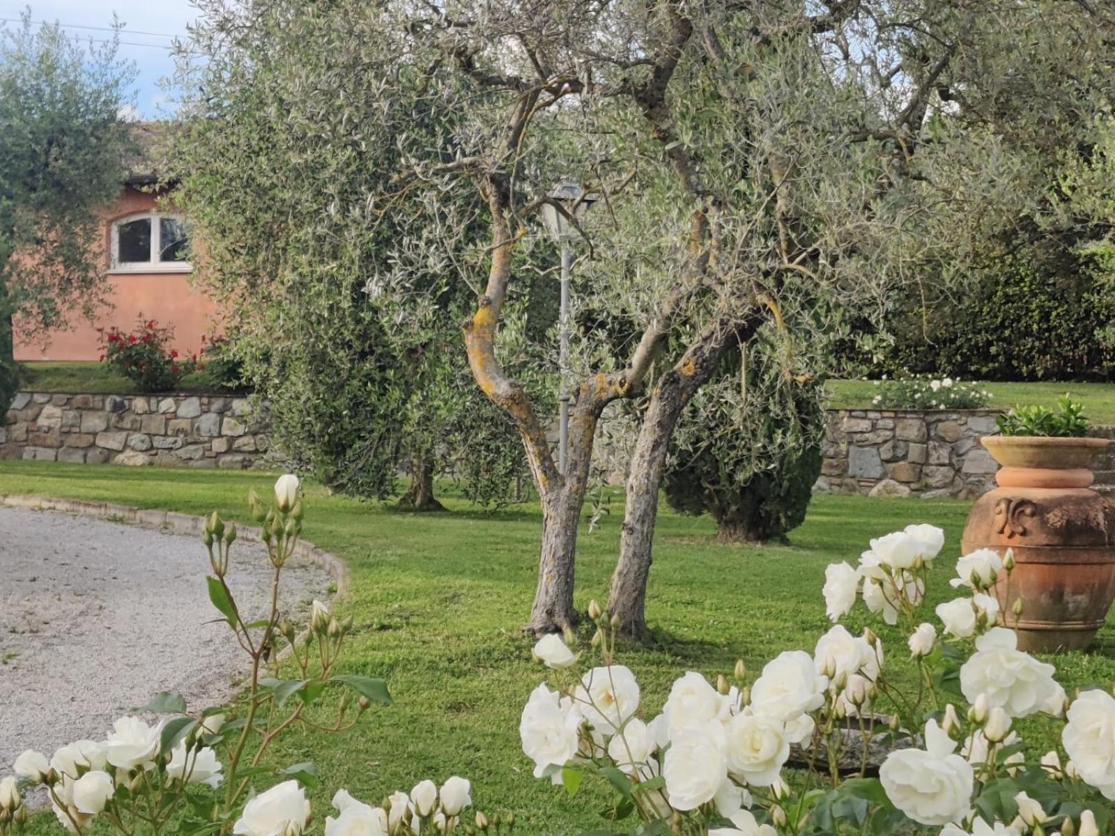 La Casa Delle Rose Villa Terranuova Bracciolini Ngoại thất bức ảnh